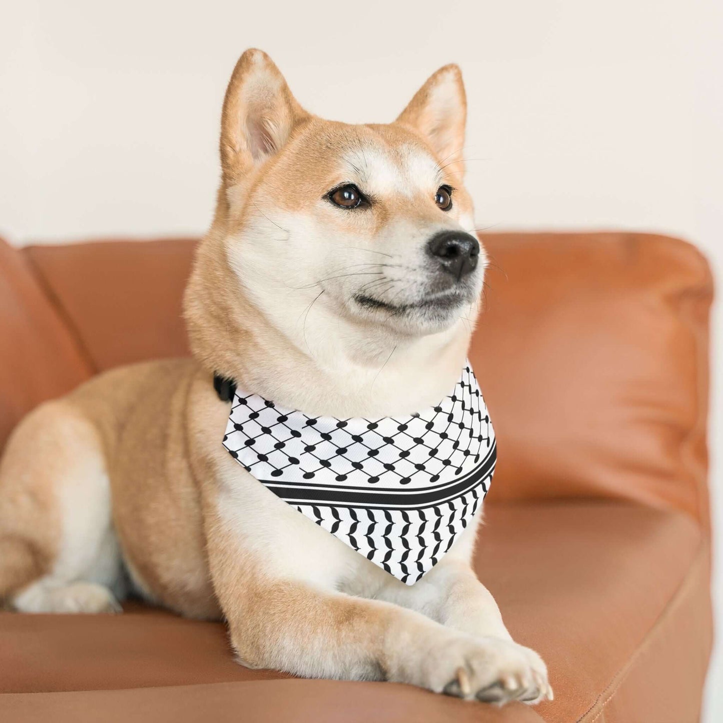 Pet Keffiyeh Bandana Collar - Jaffa Pirate Radio