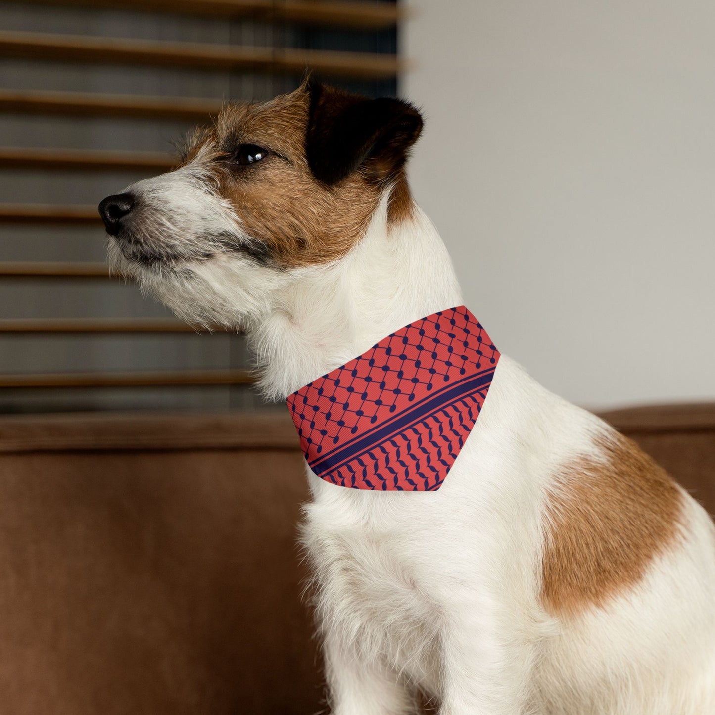 Red Pet Bandana Collar - Jaffa Pirate Radio