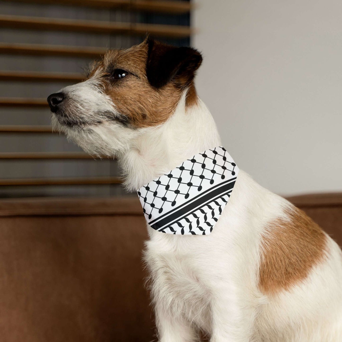 Pet Keffiyeh Bandana Collar - Jaffa Pirate Radio