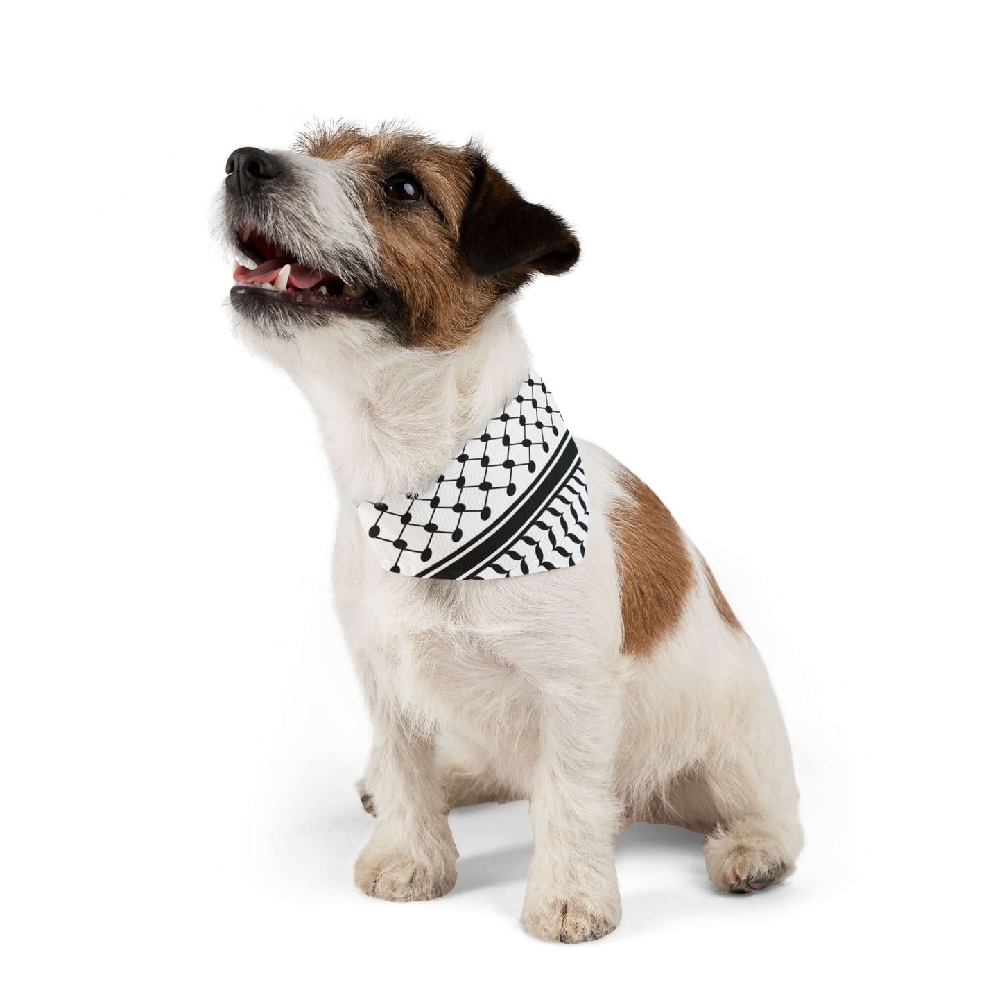 Pet Keffiyeh Bandana Collar - Jaffa Pirate Radio