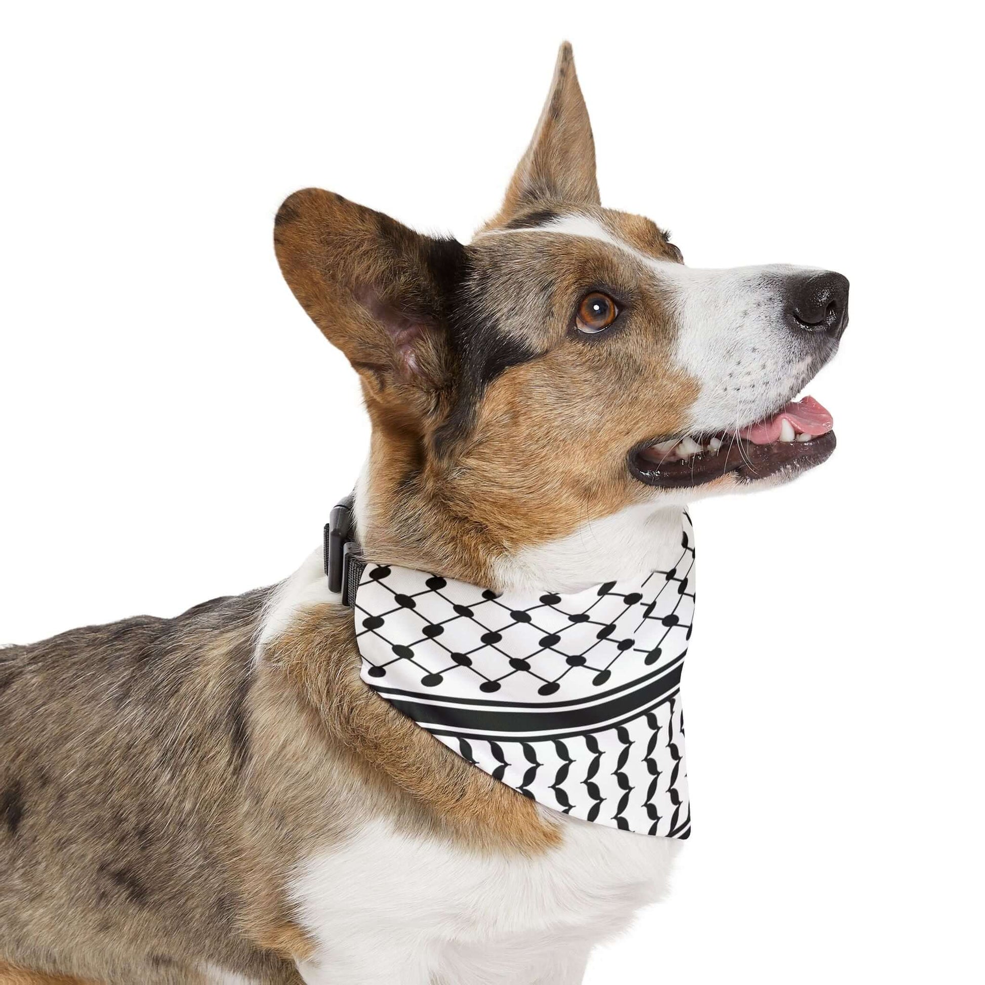 Pet Keffiyeh Bandana Collar - Jaffa Pirate Radio