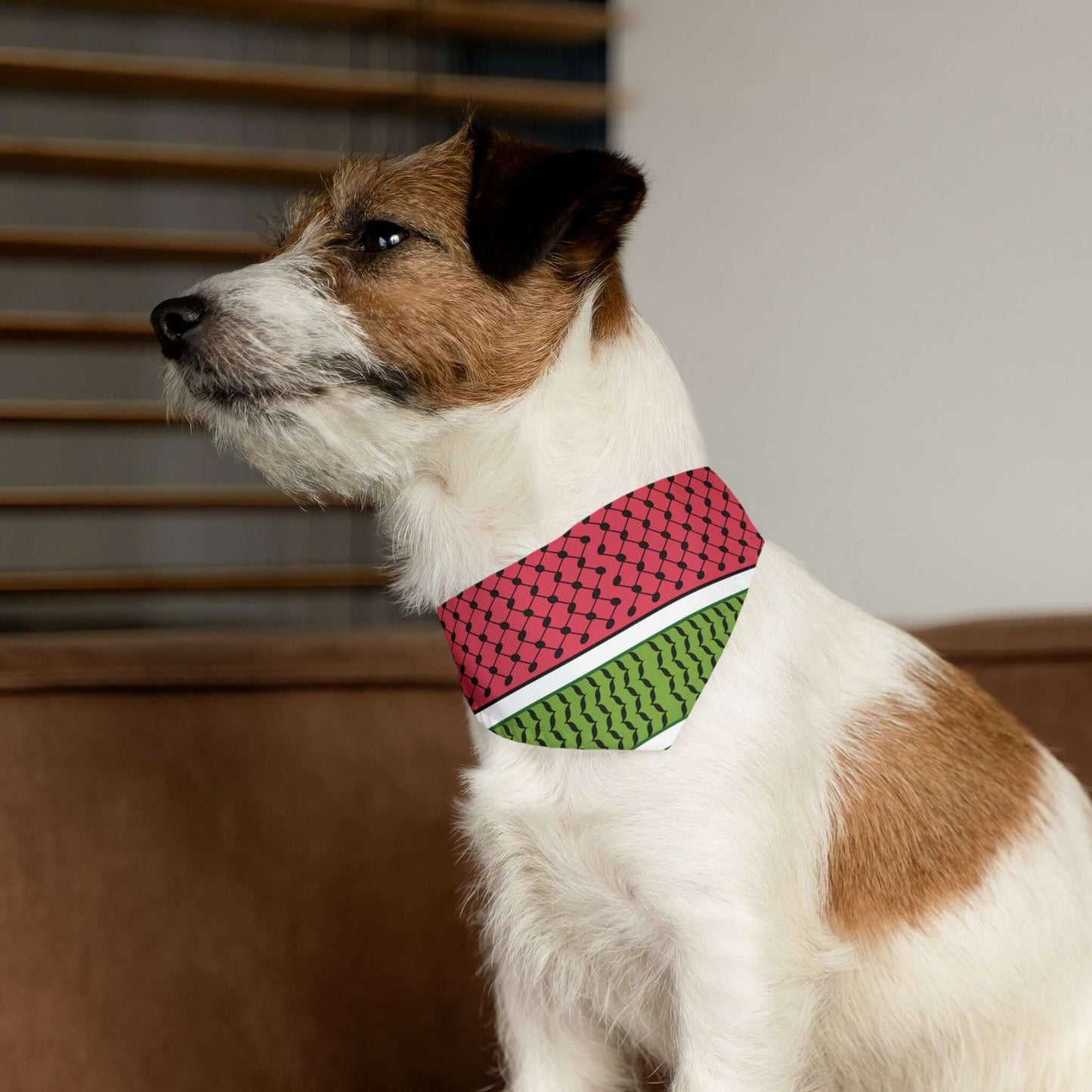 Pet Keffiyeh Bandana Collar - Jaffa Pirate Radio