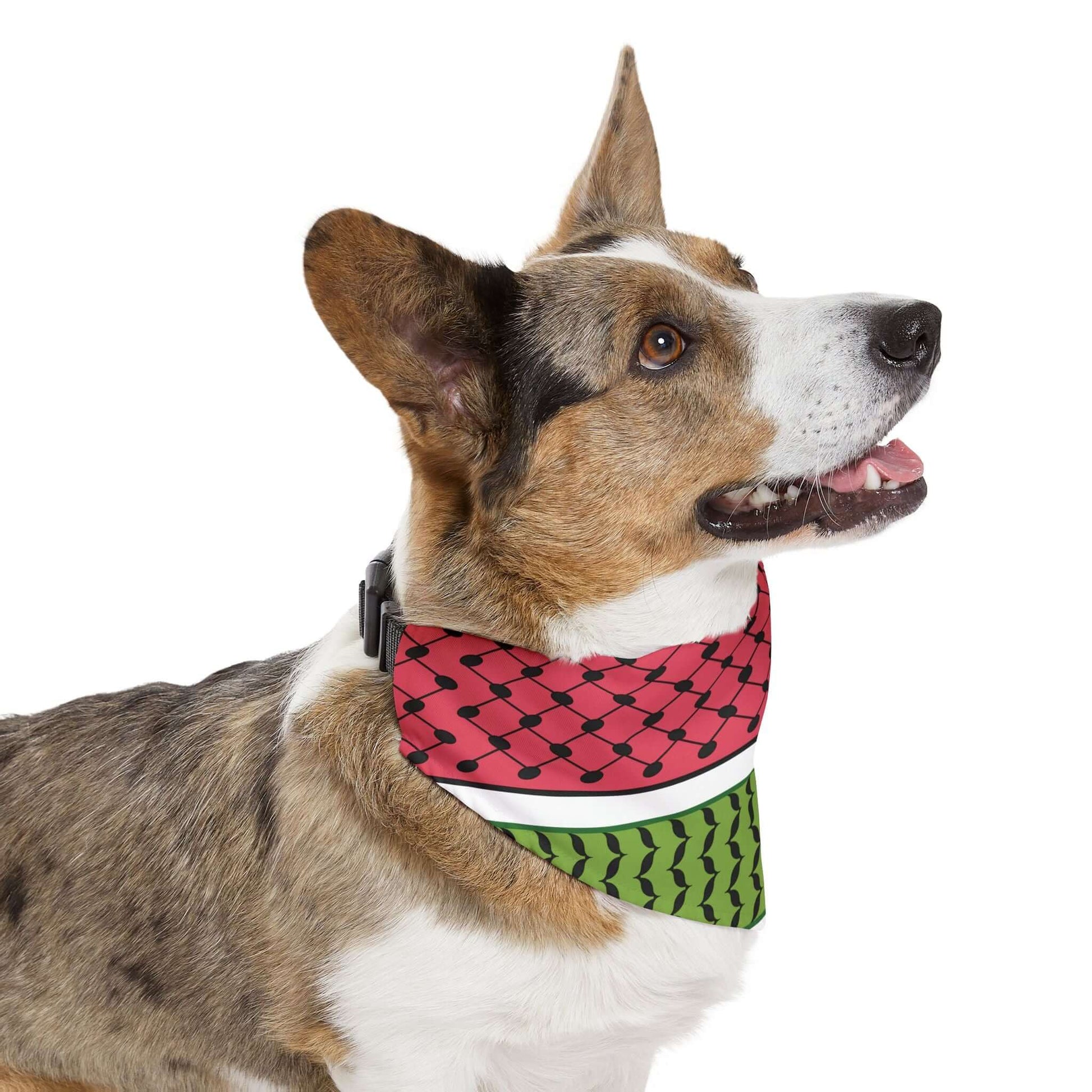 Pet Keffiyeh Bandana Collar - Jaffa Pirate Radio