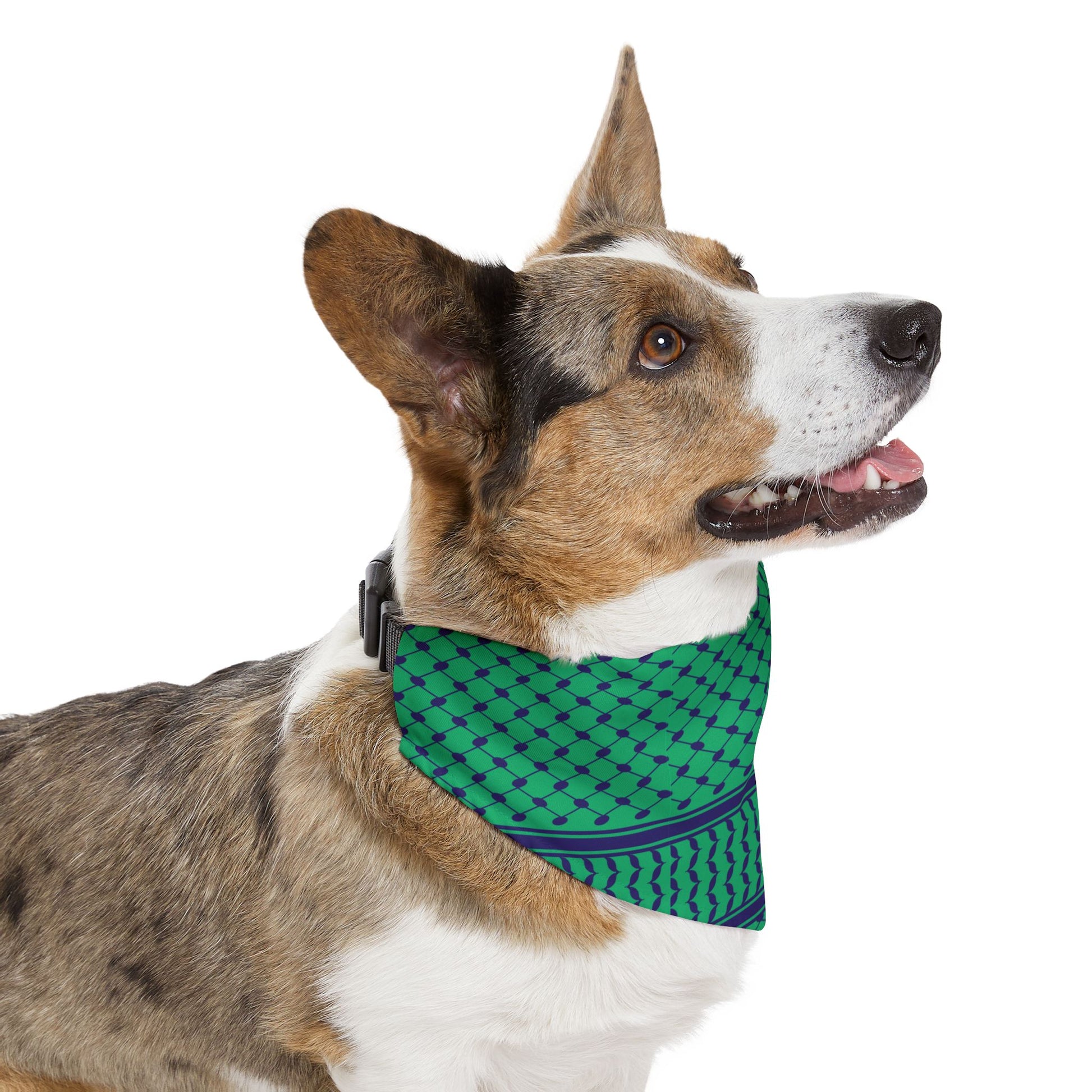 Pet Bandana Collar - Jaffa Pirate Radio