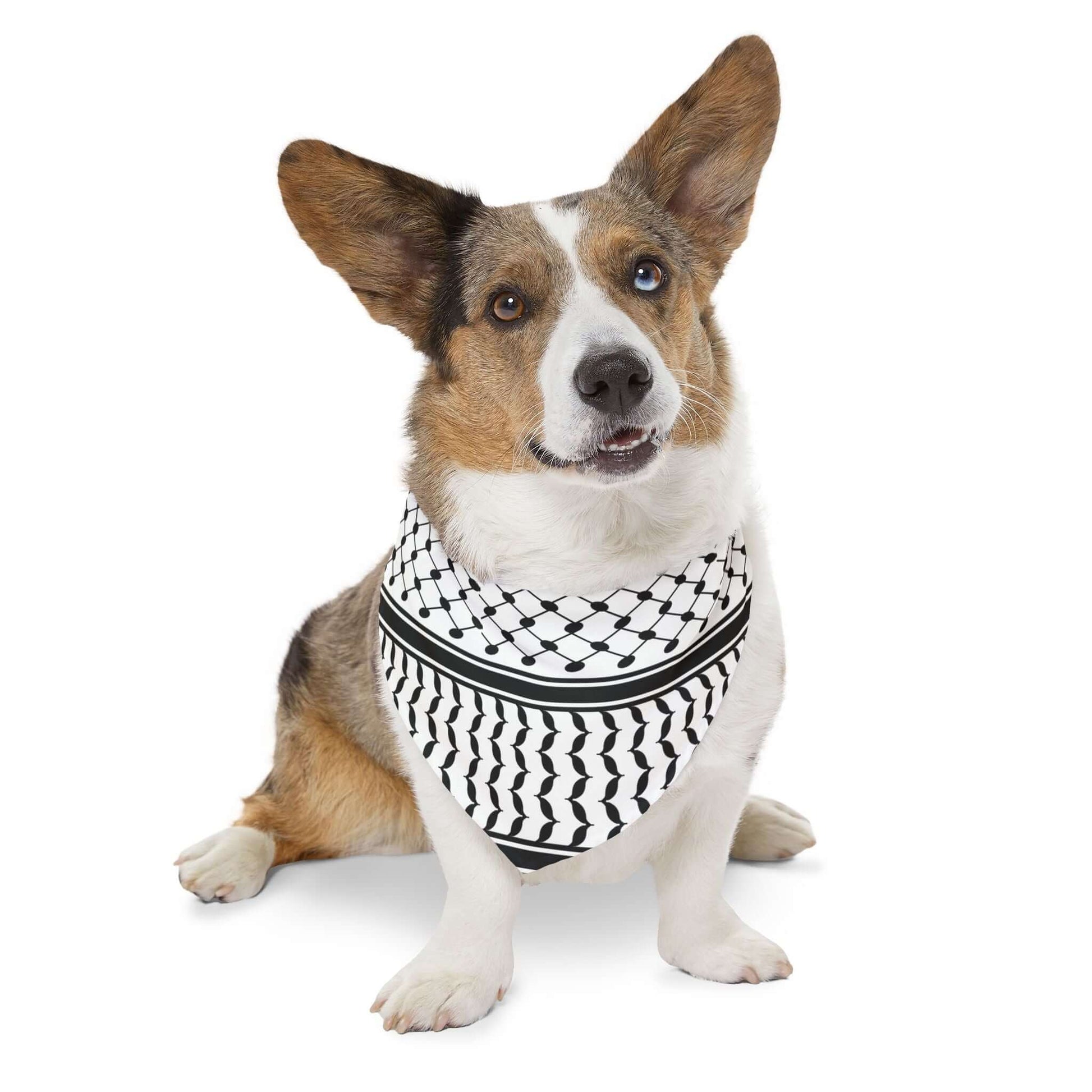 Pet Keffiyeh Bandana Collar - Jaffa Pirate Radio