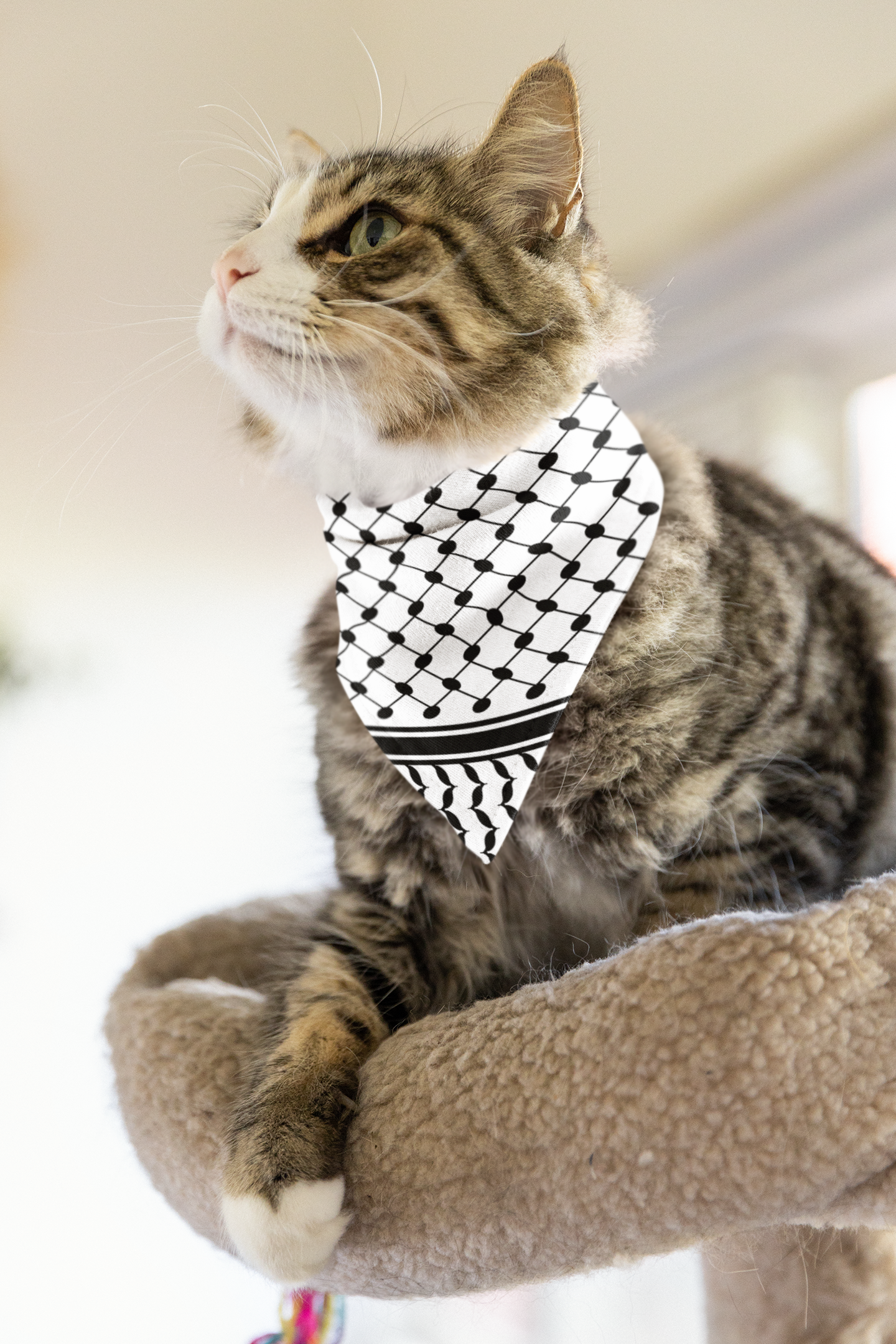 Pet Keffiyeh Bandana Collar | Palestinian Tradition